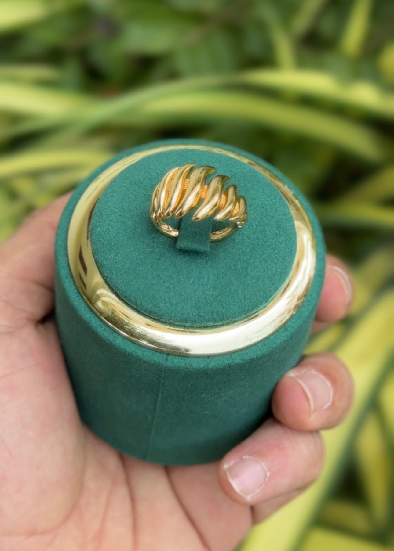 Golden Claw Luxe Rings (Adjustable)