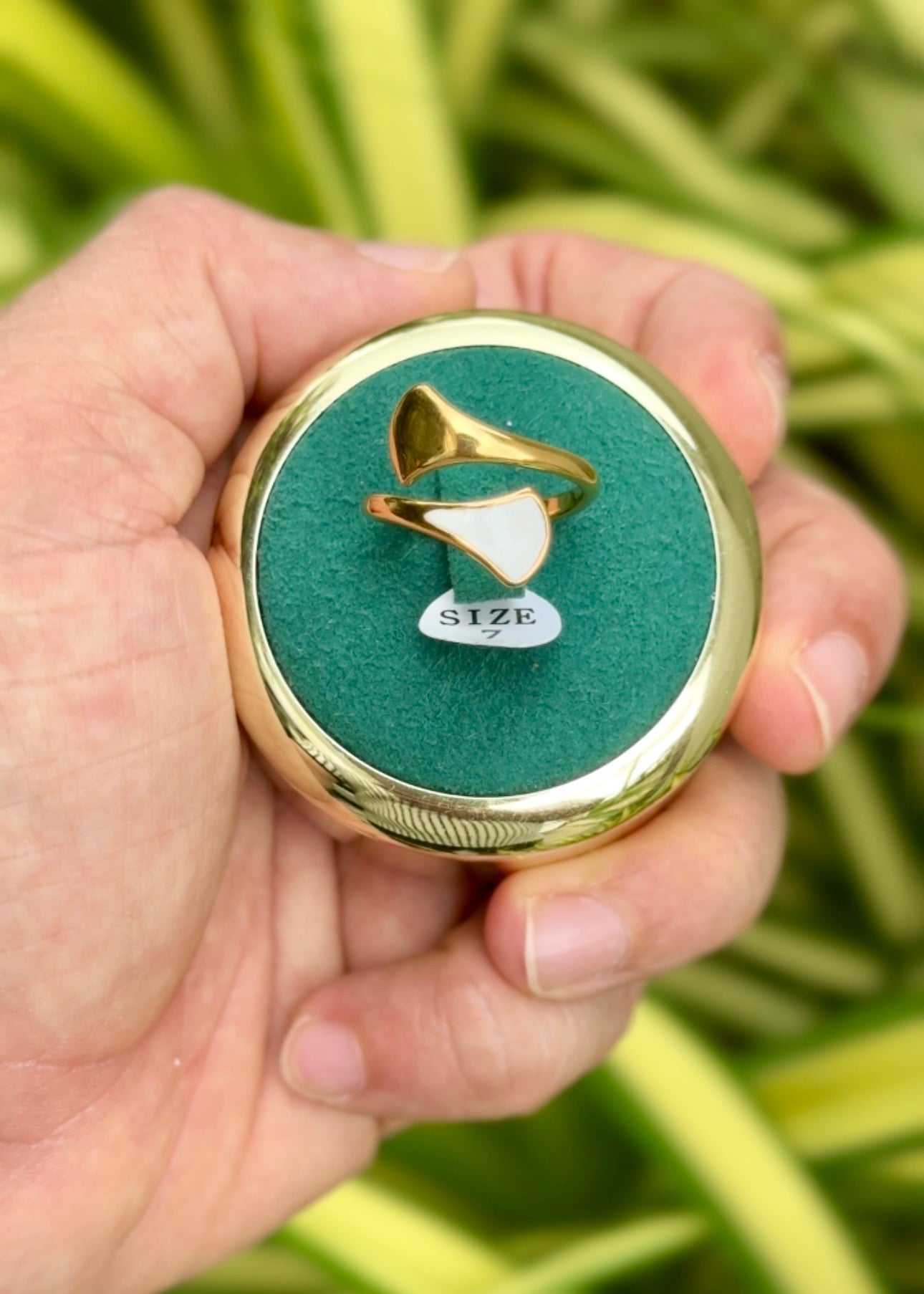 Dual Harmony Enamel Ring 🤍✨ (316L Grade)