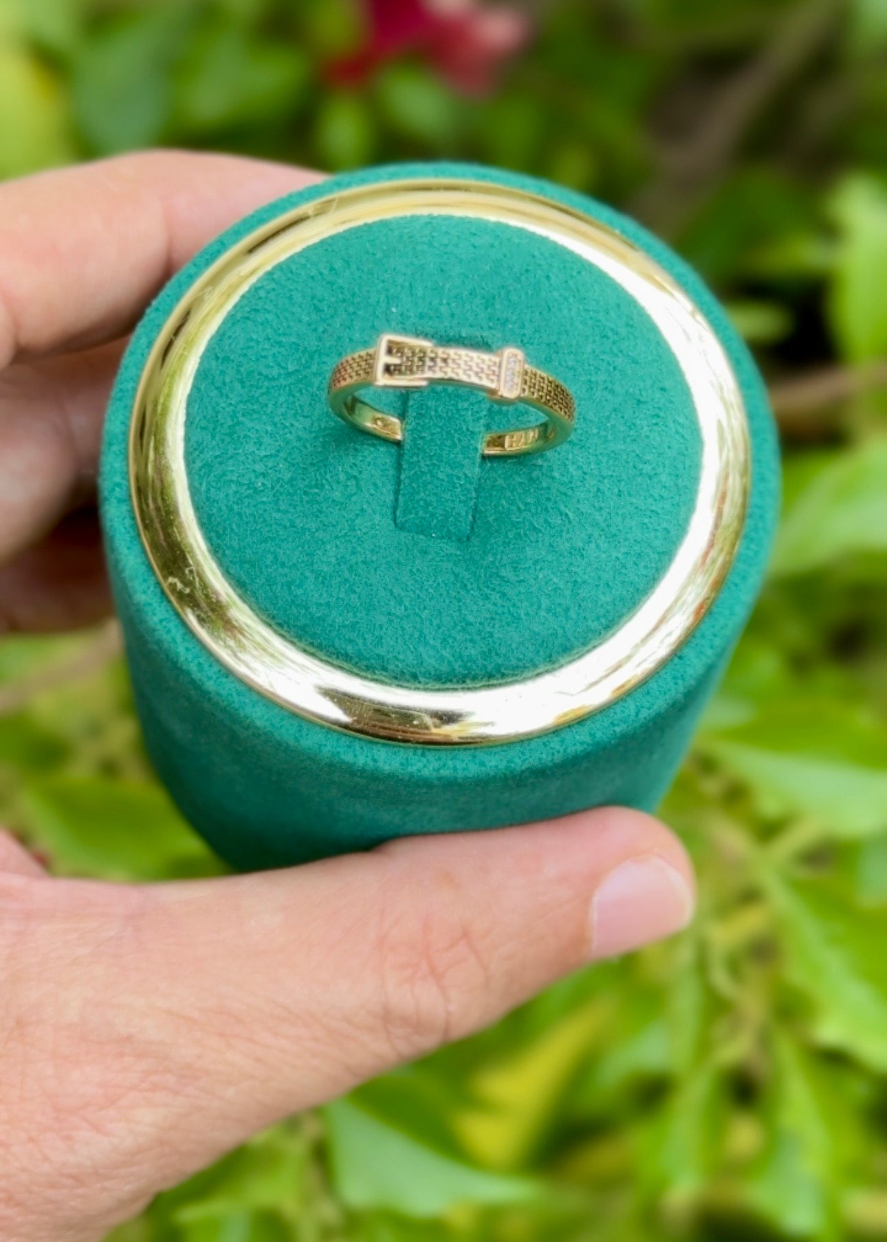 Golden Belt Buckle Rings (Adjustable)