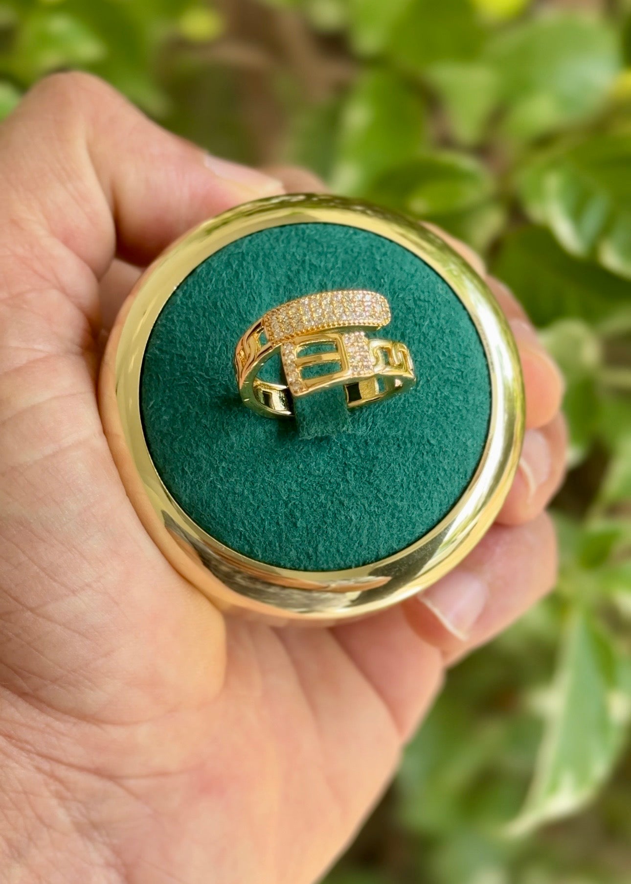 Luxe Link Rings ✨ (Free-size)