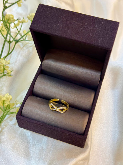 The Endless Promise Ring (Adjustable)